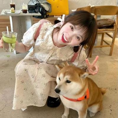 了不起的甄高贵